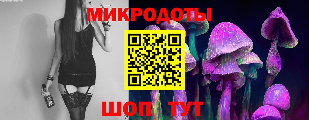 Псилоцибиновые грибы MAGIC MUSHROOMS  Вход с VPN  Галлюциногенные грибы GOLDEN TEACHER  Фрязино 