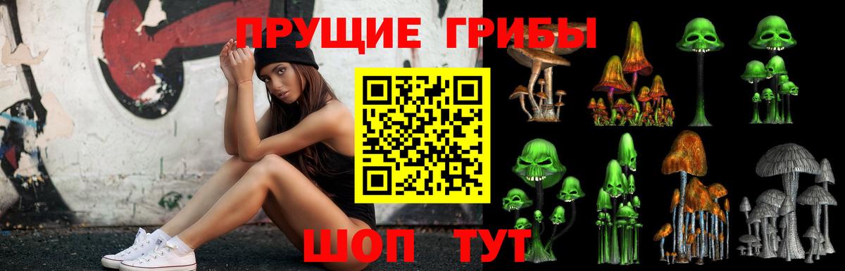 Галлюциногенные грибы прущие грибы Фрязино